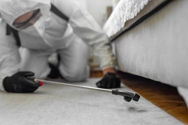 Professional Bed Bug Control technician working in Robinwood, MD