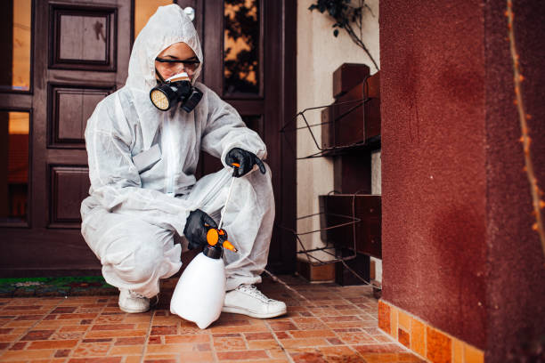 Reliable Bed Bug Control contractor in Robinwood, MD by Nex Pest Control